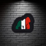 Italian Polo Collection - Ribbed Collar - Image 2